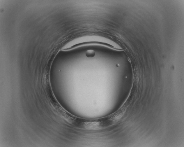 X0000076420266200610271715