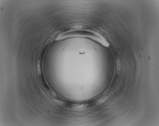 X0000076420267200610271715