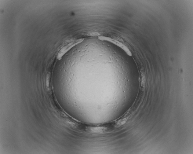 X0000076420268200610271715