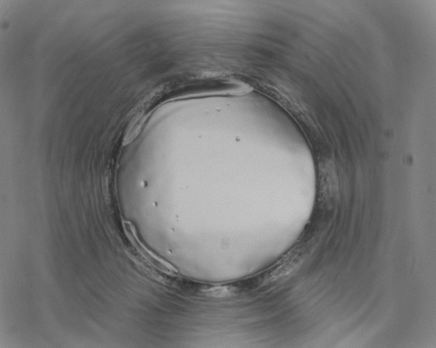 X0000076420269200610271715