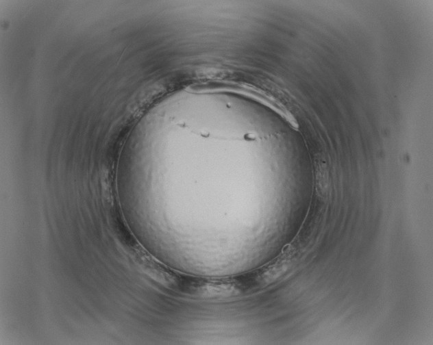 X0000076420270200610271715