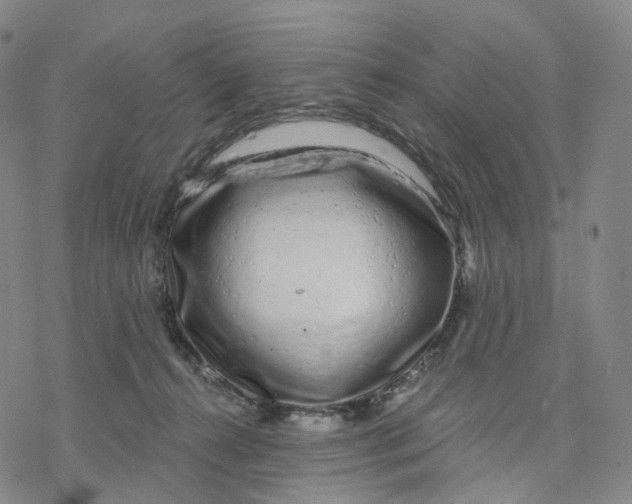 X0000076420272200610271715