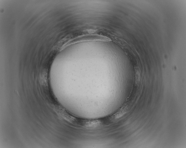 X0000076420274200610271715