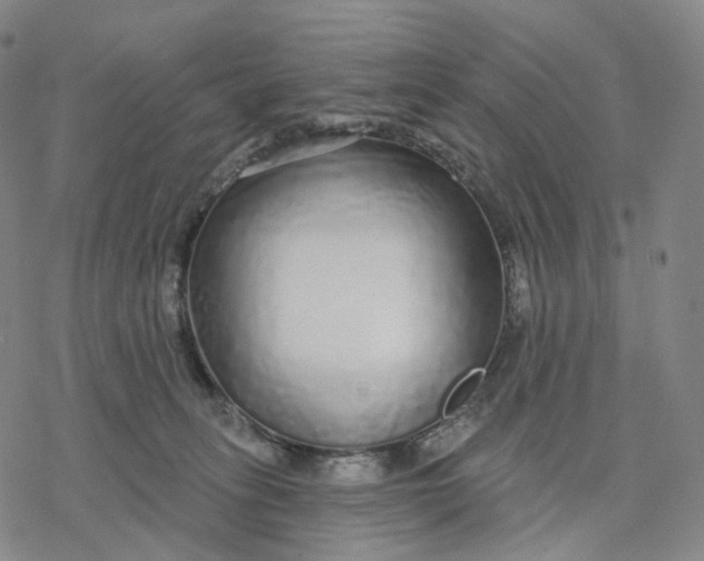 X0000076420275200610271715