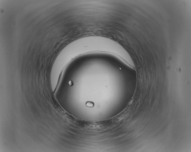 X0000076420276200610271716