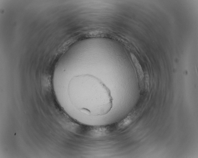 X0000076420278200610271716