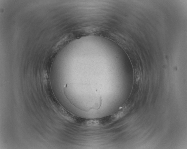 X0000076420279200610271716