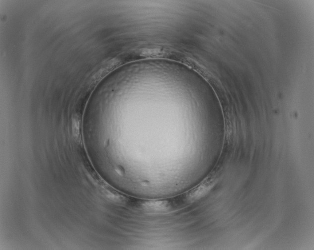 X0000076420281200610271716