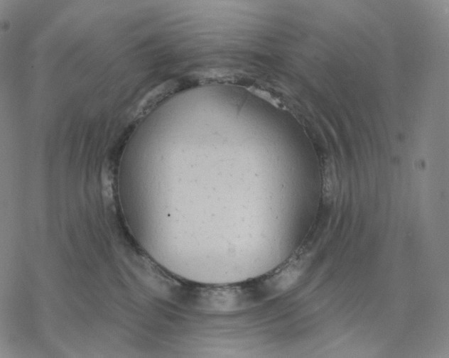 X0000076420282200610271716