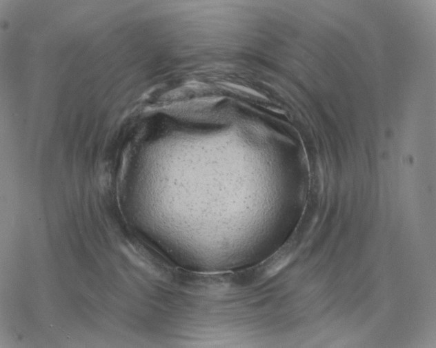 X0000076420284200610271716