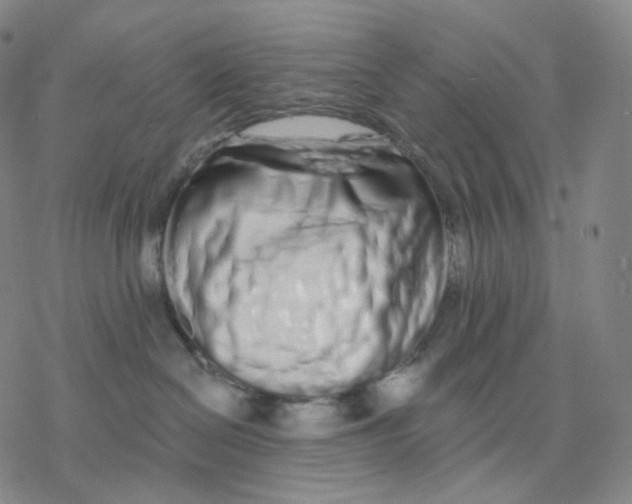 X0000076420286200610271716