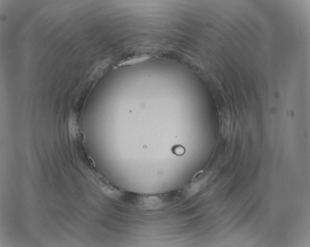 X0000076420287200610271716