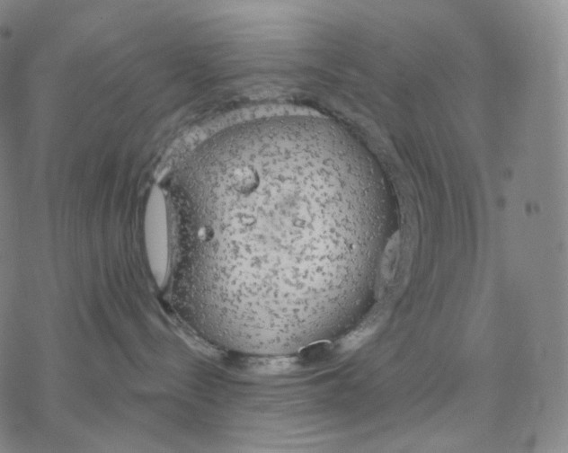 X0000076420288200610271716