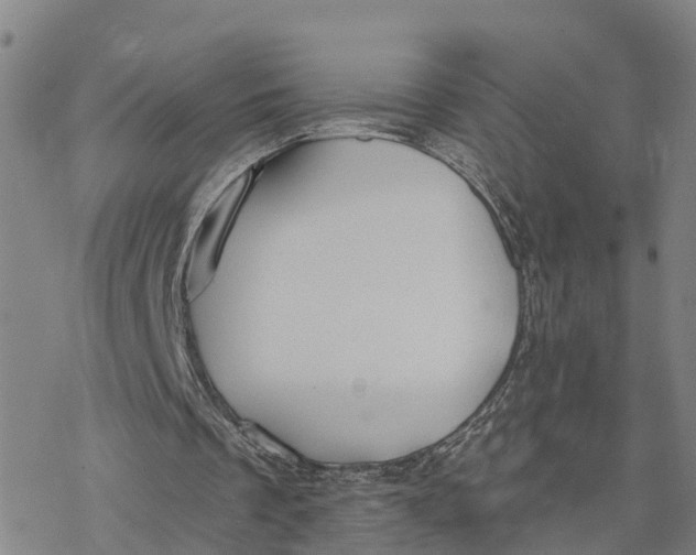 X0000076420289200610271715