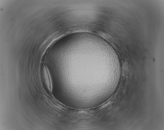 X0000076420290200610271715