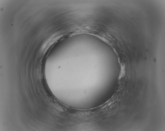 X0000076420291200610271715