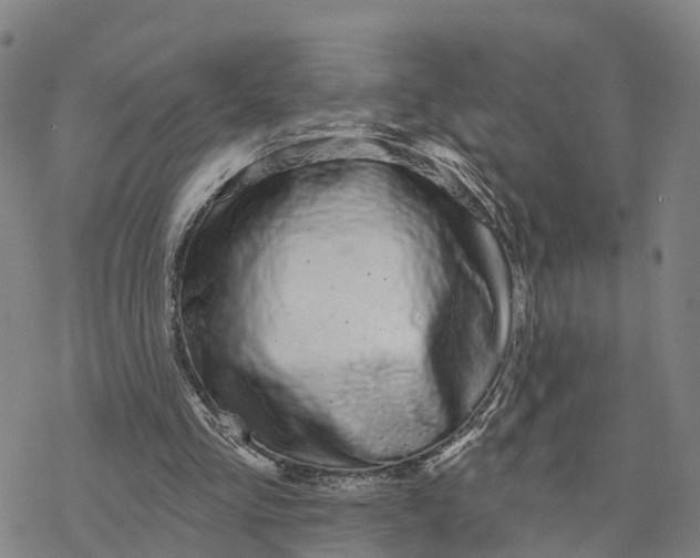 X0000076420293200610271715