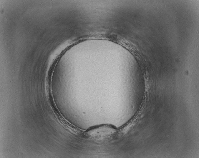 X0000076420294200610271715