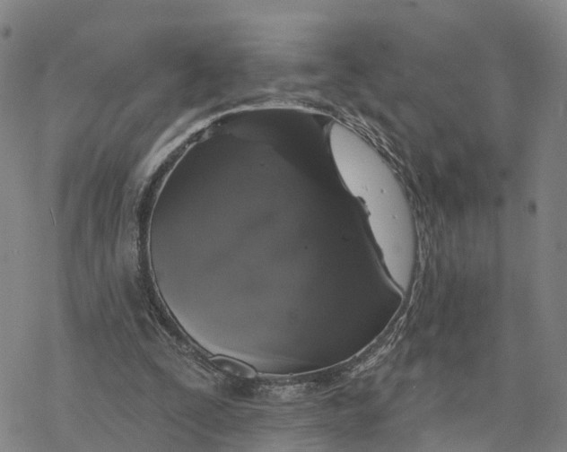 X0000076420295200610271715