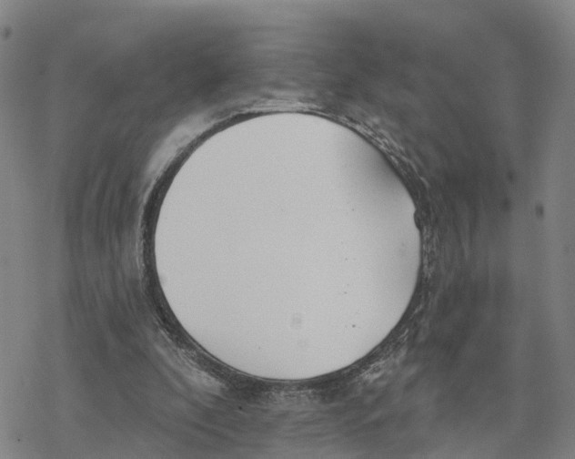 X0000076420296200610271715