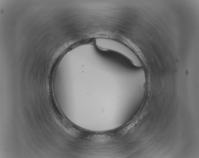 X0000076420298200610271715