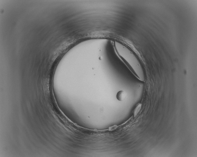 X0000076420299200610271715