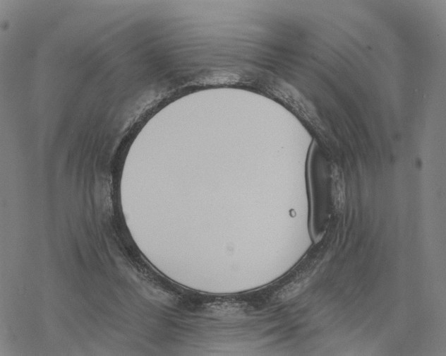 X0000076420300200610271715