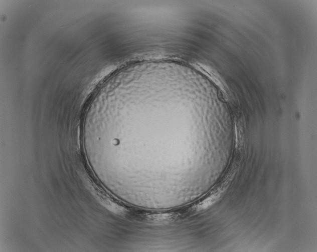 X0000076420301200610271715