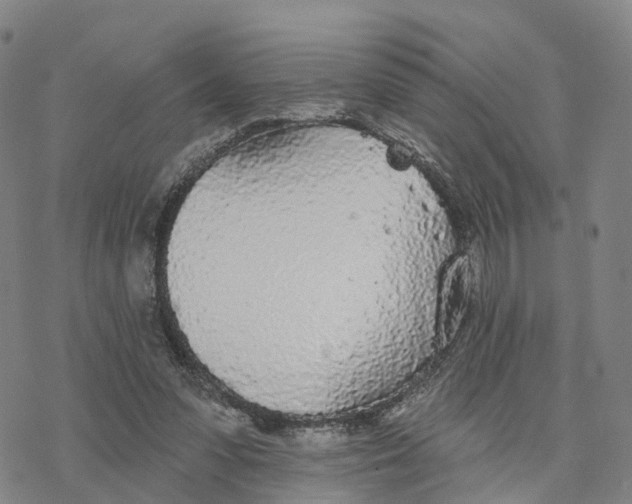 X0000076420303200610271715