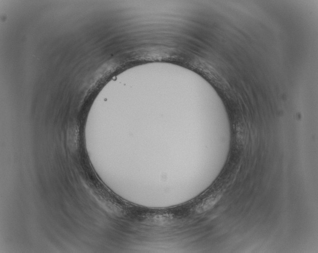 X0000076420304200610271715