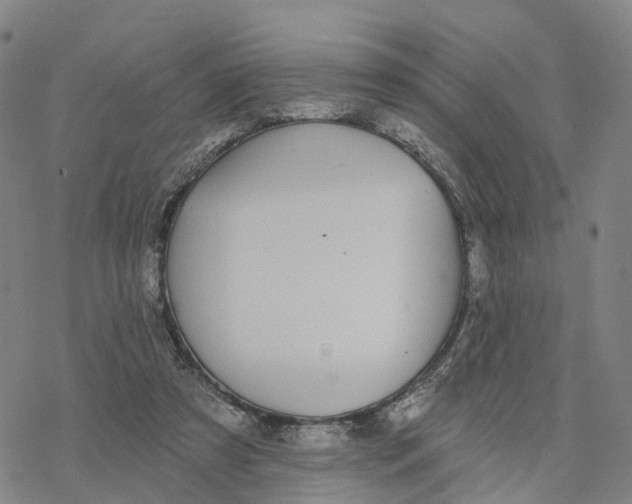 X0000076420305200610271715