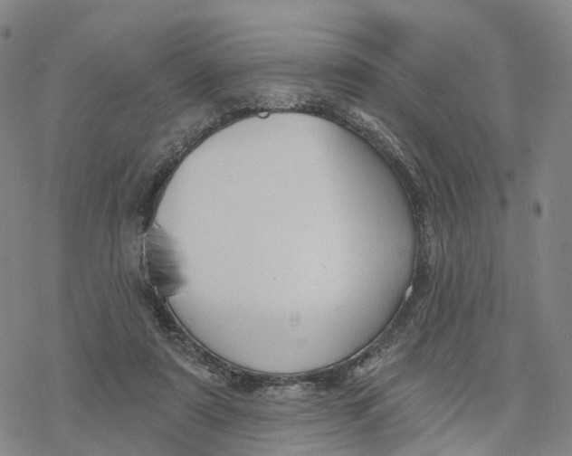 X0000076420307200610271715