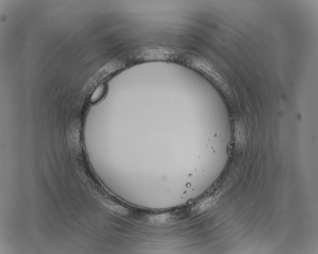 X0000076420309200610271715