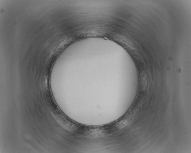 X0000076420310200610271715