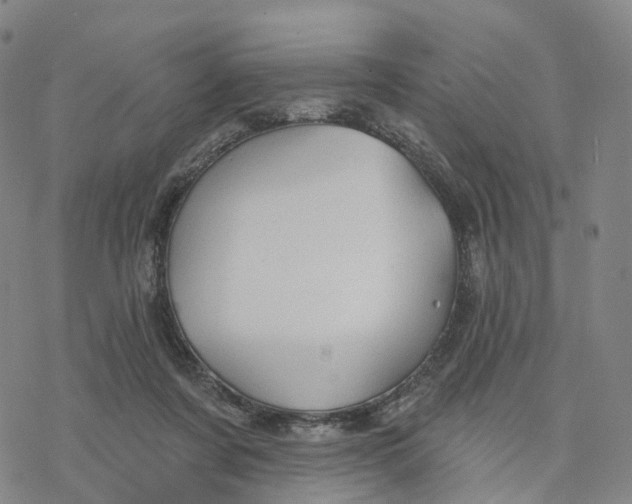 X0000076420311200610271715