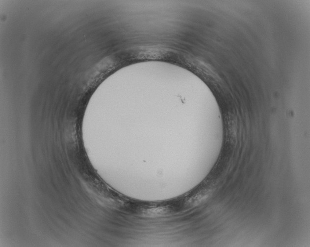 X0000076420312200610271715