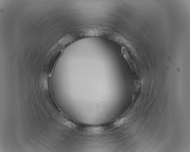 X0000076420313200610271715