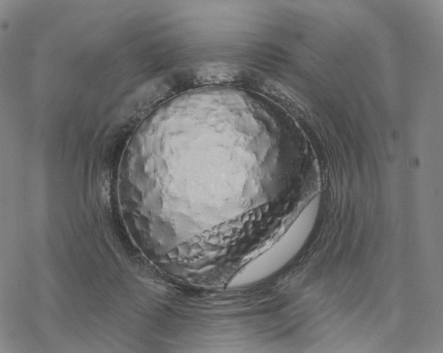 X0000076420315200610271714