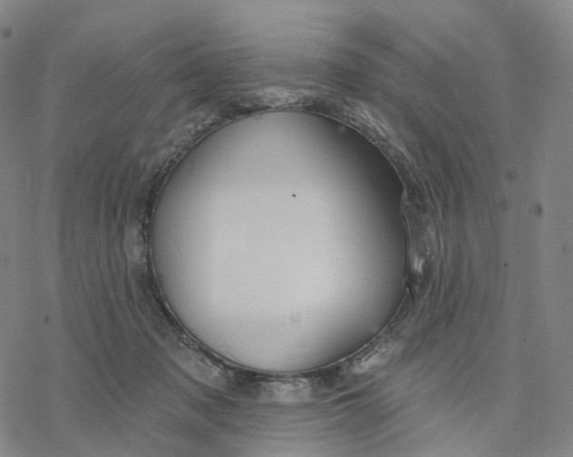 X0000076420317200610271714