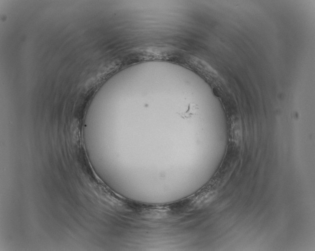 X0000076420318200610271714