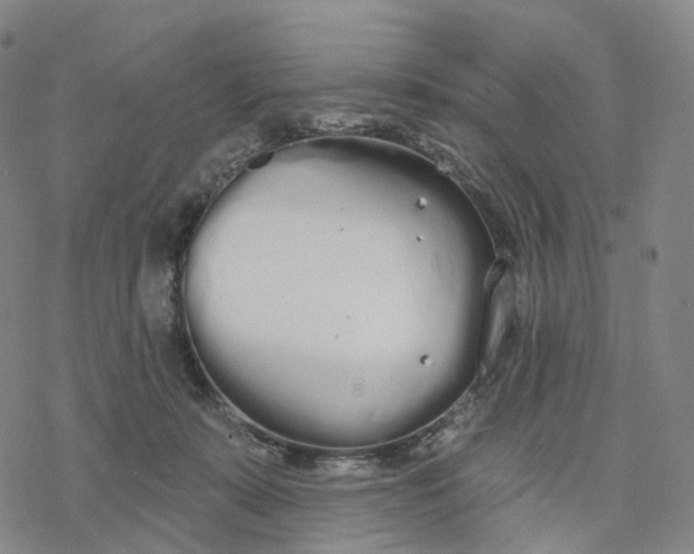 X0000076420319200610271714