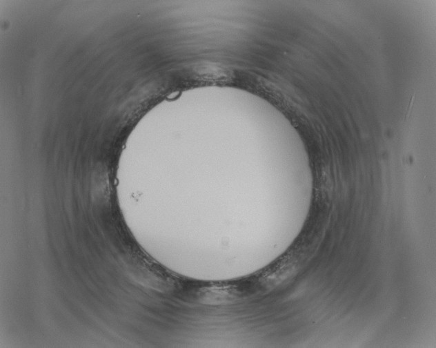 X0000076420320200610271714