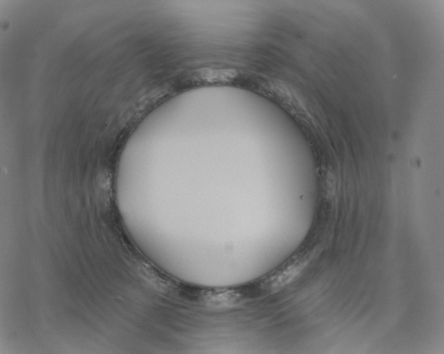 X0000076420321200610271714