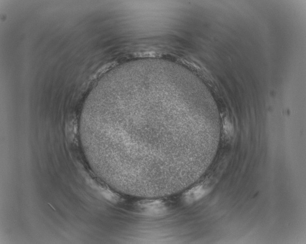 X0000076420322200610271714