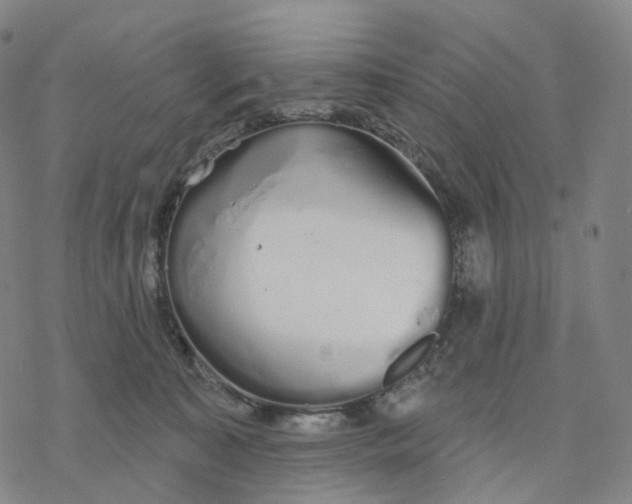 X0000076420323200610271714