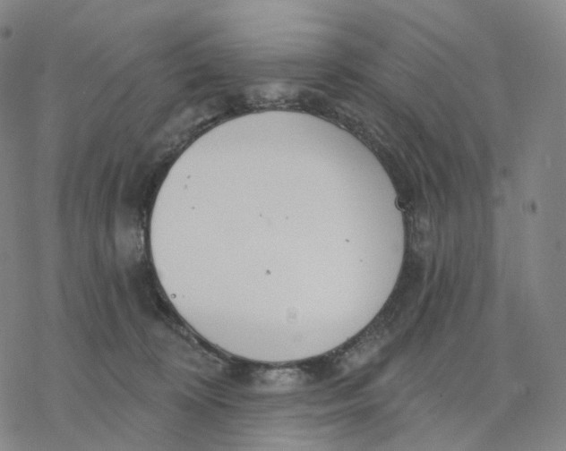 X0000076420324200610271714