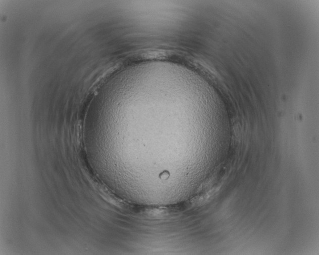 X0000076420325200610271714