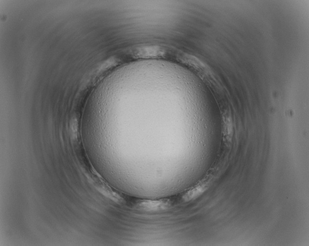 X0000076420326200610271714