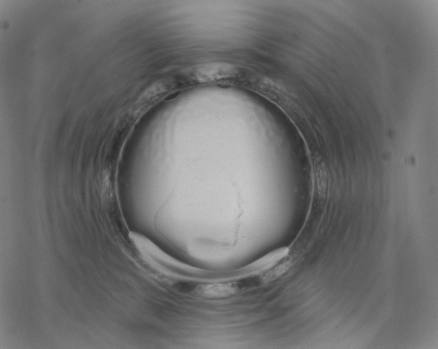 X0000076420327200610271714