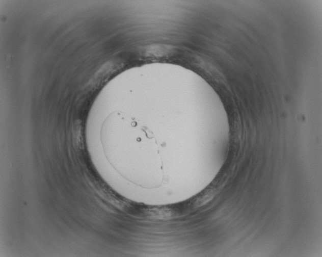 X0000076420328200610271714